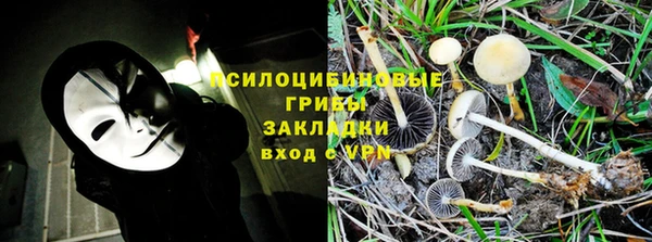 спиды Абдулино