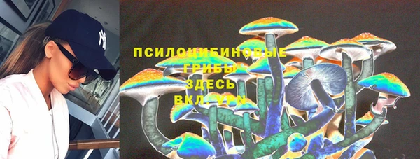 ПСИЛОЦИБИНОВЫЕ ГРИБЫ Алексеевка