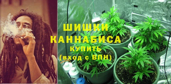 дживик Абаза