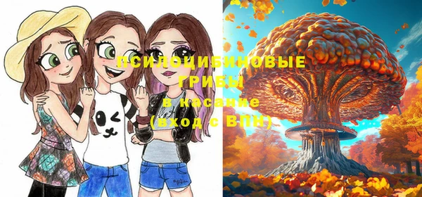 кокс Абинск